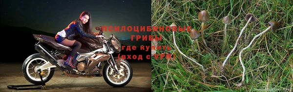 ALPHA PVP Балабаново