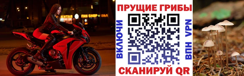 Галлюциногенные грибы мухоморы  omg ТОР  Губкинский 